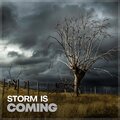 Heavy Rain Sounds - Harness Rain