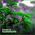 Loopable Rain Sounds - Exhaustive Rain