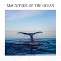 Ocean in HD - Sea Turtles