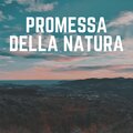 The Nature Soundscapes - Sleepy Rain Sounds, Pt. 1