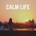 Healing Music Spirit - Morning Yoga Background Music for Calm, Pt. 10