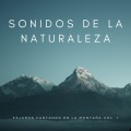 Meditaciones Espirituales、Masaje Relajante Masters、Meditacion Budista Maestros - Camino De La Naturaleza