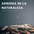 Reiki y Tai Chi Armonía、Yoga Para Niños、Ruido de Meditación - Rocas De La Naturaleza
