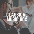 christopher williams - Piano Sonata No.2 in B flat minor, Op.35