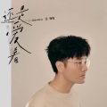 王铮亮、陈楚生 - 半边山半边海