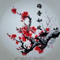 一只短腿猫、景明 - 梅香如故