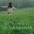 Ruido Perfecto、Sonidos de la Naturaleza para Dormir、Ruido Del Sueno - Mantra De La Lluvia