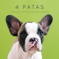 Meditación Con Ruido Blanco、Playlist Música para Dormir、Calma y Relajación - Droning Para Calmar Perros