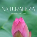 Meditación En El Balneario、Música Inteligente、Meditación Chakra - Viento Que Murmura