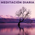 Música de la Naturaleza、Meditación Trascendental、Pajaros Exoticos - Entorno Frío Y Lluvioso