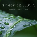Ruido Del Sueno、Relajantes sonidos de lluvia、Relajacion Meditar Academia - Lluvia De Vida