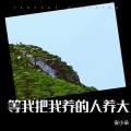 安小朵 - 等我把我养的人养大