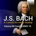 Netherlands Bach Collegium、Pieter Jan Leusink、ruth holton - II. Aria. Herr, der du stark