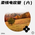 王杨太 - 我在相思桥等着你