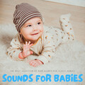 Babies Sleeping White Noise、Baby Lullaby Universe、Snooze Tunes for Babies - Baby's Inner Peace