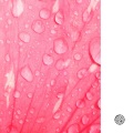 Vulkaanic、slowed + reverb songs、slowed songs - Amem Kushi Lente