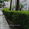 Rain Wonder、Baby Sleep、Calm Sleep Rain Sound - Cool Drench