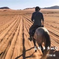 DJ啊辞 - 马蹄声声响起