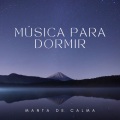 Ambiente para Dormir、Musica De Meditación、Especialistas de Musica para Dormir - Canción Entorno Natural