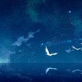 Xtafay、LoFi Queen、lofi.dealer、Lofi Chill、Lofi Hip Hop Nation、Chill Hip Hop、soave lofi、Gabriel Nogard - Lucid dreams