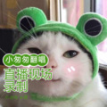 小匆匆 - 我记得