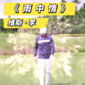 维斯李 - 雨中情