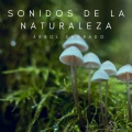 Musica De Meditación、Ambiente para Dormir、Sonidos de la Naturaleza para Dormir - Vértigo En Llamas