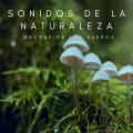 Músicas Relajantes、Pajaros Tropicales、Ruidos de la Selva - Ambiente Profundo
