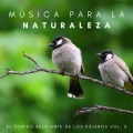 Yoga Meditación、Ruido De Colores、Relajación Yoga Conjunto - Ilustrar La Naturaleza