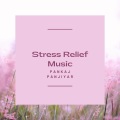 Pankaj Panjiyar - Stress Relief Music