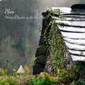 Acupuncture Music、Spa Music For Dogs、Nature Ambience - Lull to Sleep with Gentle Thunder Sound