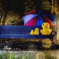 Pacific Rain、Deep Sleep Music Therapy、Rain Rec. - Rainbow Unicorn