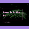 Pankaj Panjiyar - Love is in the Air