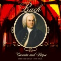 Ivan Sokol - BWV 564