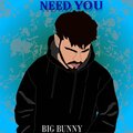 Big Bunny - Need You