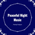 Pankaj Panjiyar - Peaceful Night Music