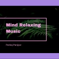 Pankaj Panjiyar - Mind Relaxing Music