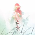 梅妖 - 大鱼
