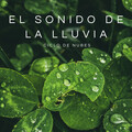 Masajes Spas、Relajacion Meditar Academia、Sonidos de la Naturaleza para Dormir - Mantra Relajante Del Granizo
