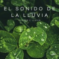 Lluvia Para Dormir Mejor、Relajación y Serenidad、Dormir Mucho - Tiempo Húmedo