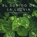 Yoga & Meditación、Música para Meditar y Relajarse、Agua del Mar - Lluvia De Primavera