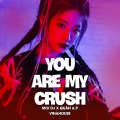 Moi DJ、Quân AP - You Are My Crush (Vinahouse)