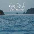 Relajación - Sin Estrés