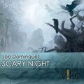 Vizzo、Joe Dominguez - Scary Night (Vizzo Remix)