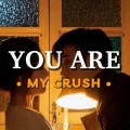Quanvrox、Quân AP - You Are My Crush (Lofi)