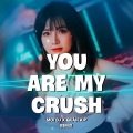 Moi DJ、Quân AP - You Are My Crush (Remix)