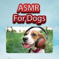 Reduce Anxiety、ASMR For Dogs、Dog Sleep ASMR、ASMR For Pets To Sleep Relax - Gentle Songs for Dogs