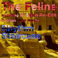 Rhythm Staircase - The Feline (Cristian Vinci Remix)