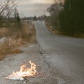 New West - We've Been Fighting for Miles