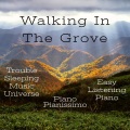Dailin Schafer、Piano Pianissimo、Easy Listening Piano、Trouble Sleeping Music Universe - Uncertain Path